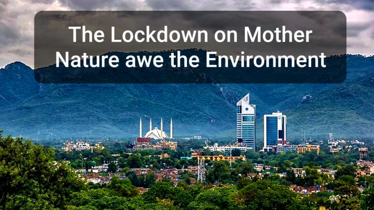 The Lockdown on Mother Nature awe the Environment