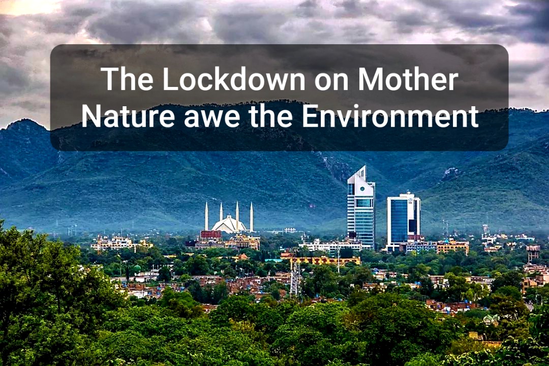 The Lockdown on Mother Nature awe the Environment